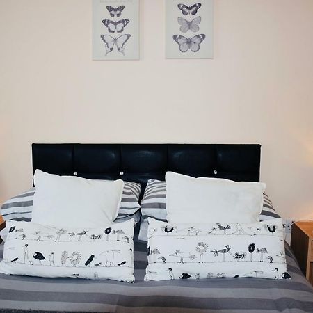 8 York Mews Leilighet Shepton Mallet Eksteriør bilde